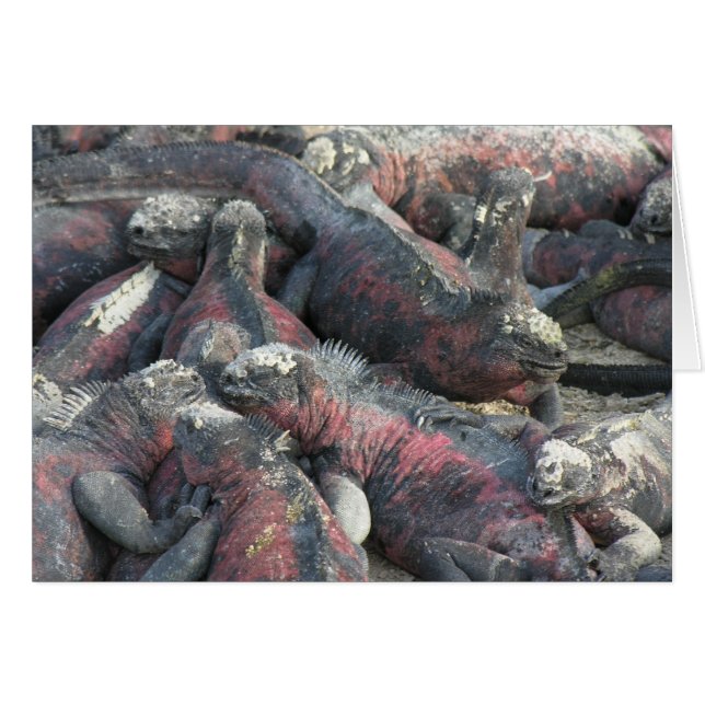 Die Postkarte des Monsterpakts (Vorderseite (Horizontal))