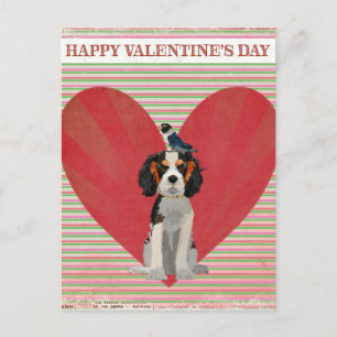Die Postkarte des SPANIEL-u.