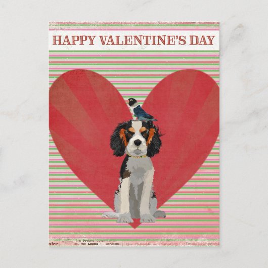 Die Postkarte des SPANIEL-u. (Vorderseite)