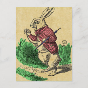 Die Postkarte des weißen Kaninchens