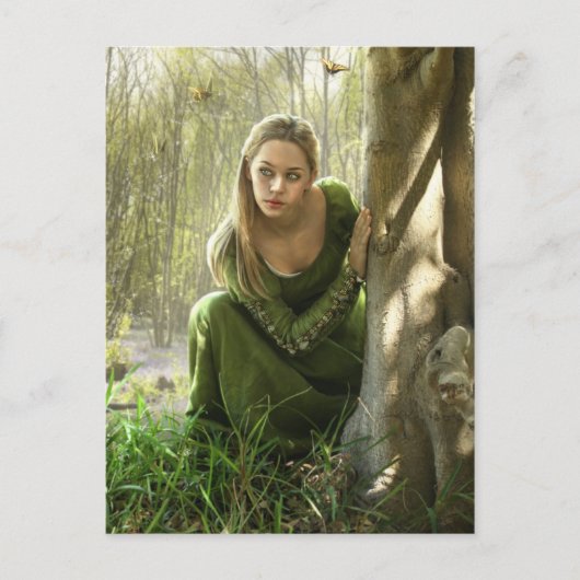 Die Postkarte für den heimlichen Wald (Vorderseite)