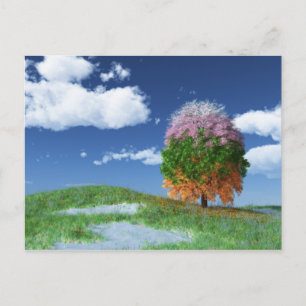 Die Postkarte für den Saisonbaum