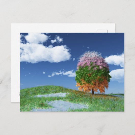 Die Postkarte für den Saisonbaum (Vorne/Hinten)