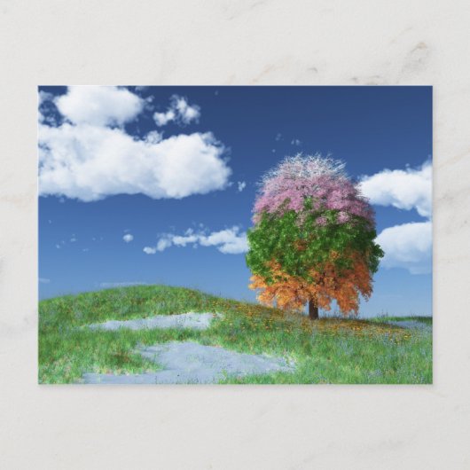Die Postkarte für den Saisonbaum (Vorderseite)