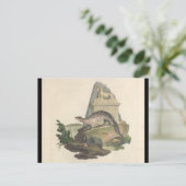 Die Postkarte Mongolen und Ägyptens (Stehend Vorderseite)