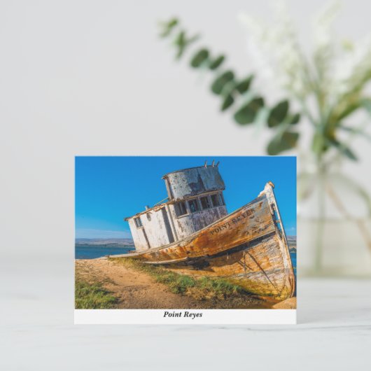 Die Postkarte "Point Reyes" (Stehend Vorderseite)
