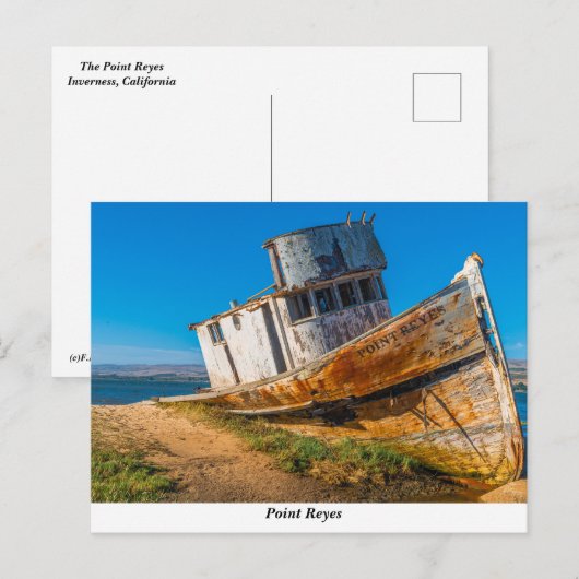 Die Postkarte "Point Reyes" (Vorne/Hinten)