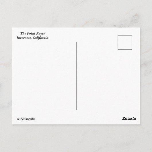 Die Postkarte "Point Reyes" (Rückseite)