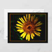 Die Postkartenstelle Postkarte (Vorne/Hinten)