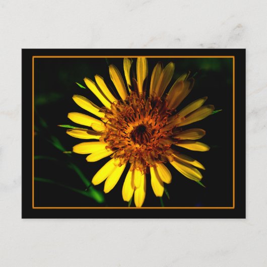 Die Postkartenstelle Postkarte (Vorderseite)