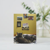 Die Postkartenwand von Kitty Postkarte (Stehend Vorderseite)