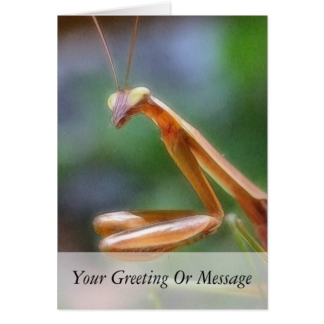 Die Prachtmeile (Vorne)