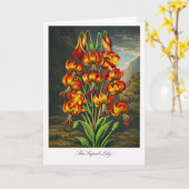 Die Prachtvolle Lilie — Moderne botanische Neuinte Karte (Gelbe Blume)