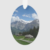 Die prachtvolle Schweiz Ornament (Rückseite)