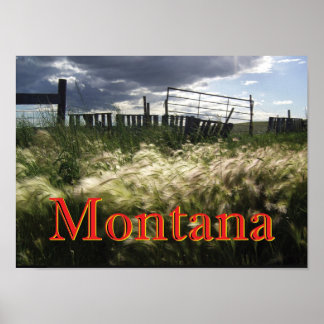Die Präriegräser von Montana, für die Printwerbung Poster