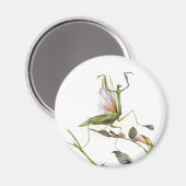 DIE PRAYMANTIS MAGNET (Vorderseite/Rückseite)