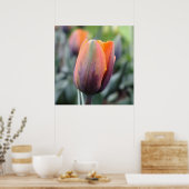 Die Prinzessin Irene Tulip Poster (Küche)