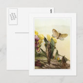 Die Psyche Postkarte (Vorne/Hinten)