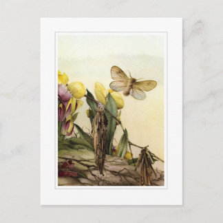 Die Psyches Postkarte