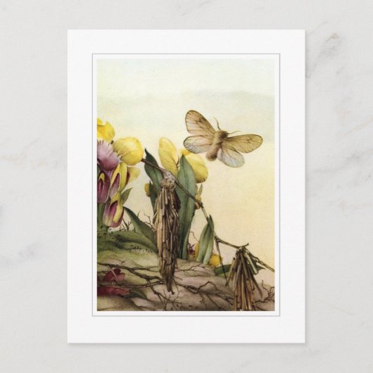 Die Psyches Postkarte (Vorderseite)