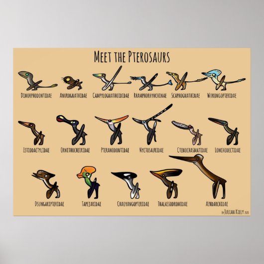 Die Pterosaurier Poster (Vorne)