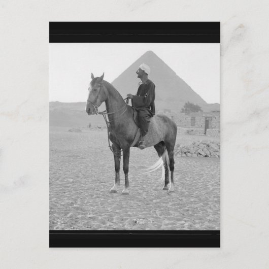 Die Pyramiden von Gizeh mit Reiter um 1934 Postkarte (Vorderseite)
