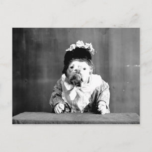 Die Queen Bulldog Postkarte
