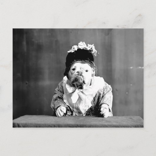 Die Queen Bulldog Postkarte (Vorderseite)