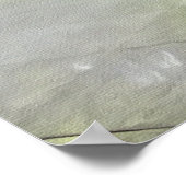 Die Rabbentänze Poster (Ecke)