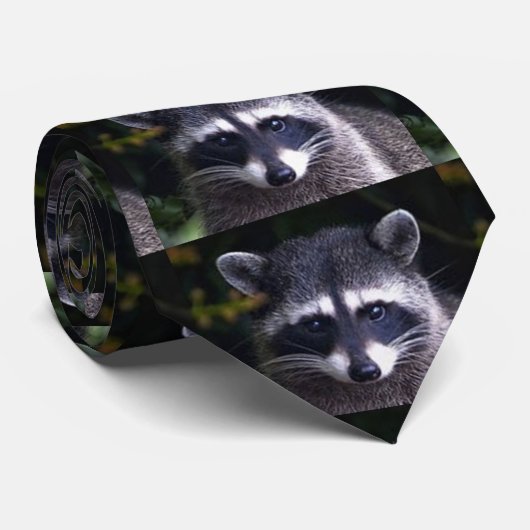 DIE "RACOON-KRAWATTE" KRAWATTE (Gerollt)