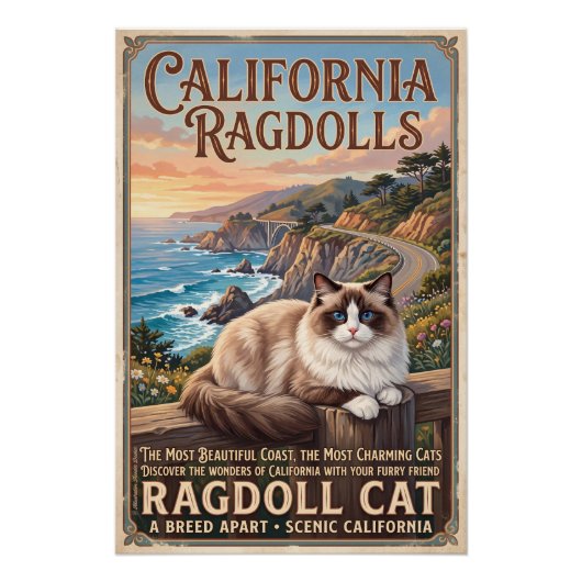 Die Ragdoll-Katze  Poster (Vorderseite)