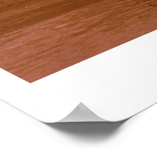 Die Raider Poster (Ecke)