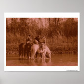 Die Raider Poster (Vorne)