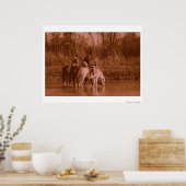 Die Raider Poster (Küche)