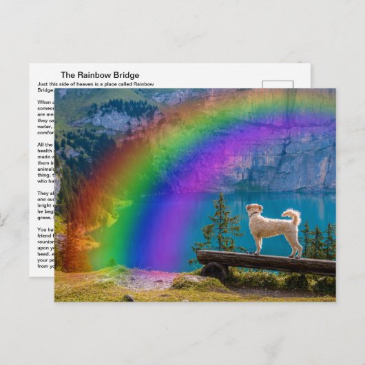 Die Rainbow Bridge Gedicht, In Erinnerung an einen Postkarte (Vorne/Hinten)