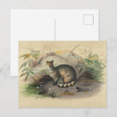 Die Rasse von Joseph Wolf Postkarte (Vorne/Hinten)
