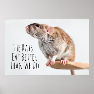 Die Ratten essen besser als wir Poster