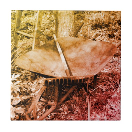 Die rauen Gartenwerkzeuge stören Schwarz und Weiß Fliese (Vorderseite)