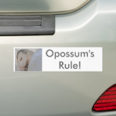 Die Regel des Opossums! Autoaufkleber (Auf Auto)
