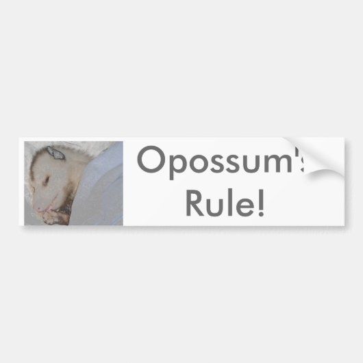 Die Regel des Opossums! Autoaufkleber (Vorne)