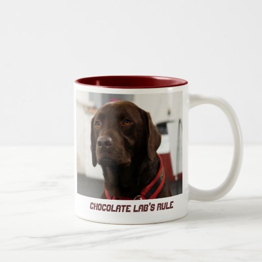 Die Regel des Schokoladen-Labradors Zweifarbige Tasse (Rechts)