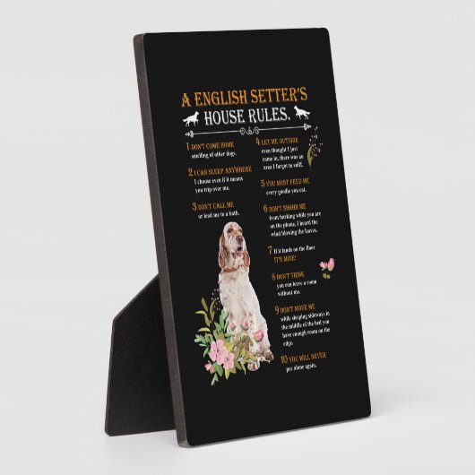 Die Regeln des englischen Setters Fotoplatte (Seite)