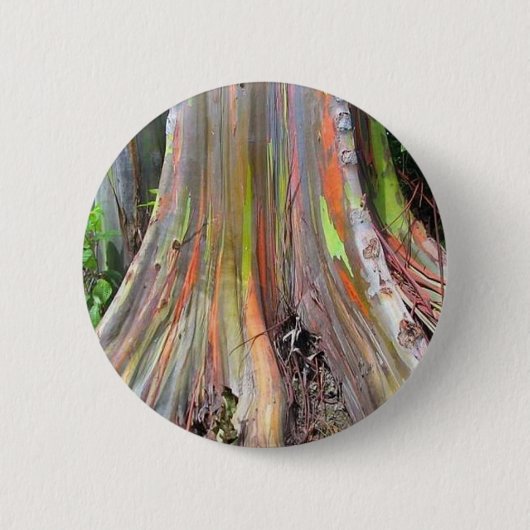 Die Regenbogen-Eukalyptus-Baum-Produkte Button (Vorderseite)