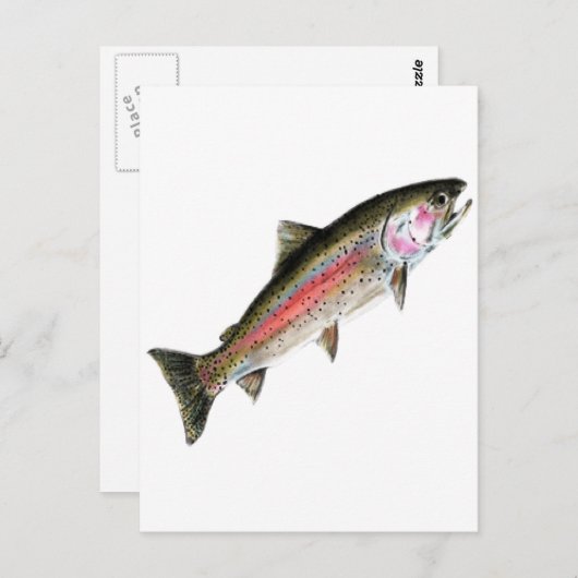 DIE REINE POSTKARTE (Vorne/Hinten)