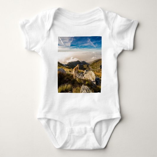 Die Reise Baby Strampler (Vorderseite)