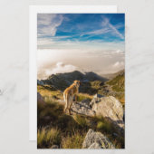 Die Reise Briefpapier (Vorne/Hinten)