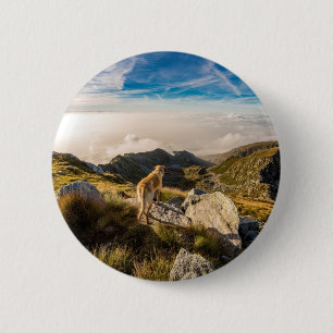 Die Reise Button