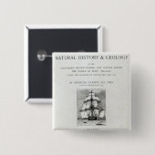 Die Reise des Beagles Button (Vorne & Hinten)