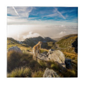 Die Reise Fliese (Vorderseite)