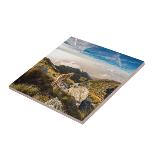 Die Reise Fliese (Seite)